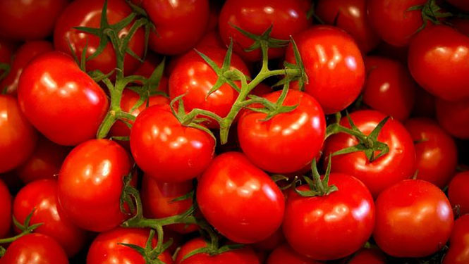 marokkanische-tomaten